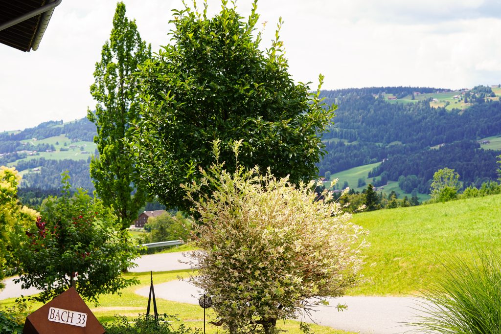 Aussicht vom Garten Ferien am Bach in Riefensberg, Bregenzerwald