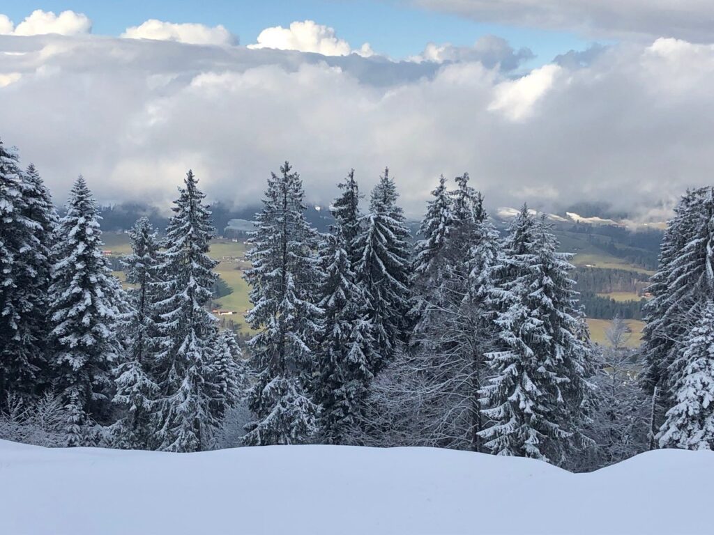 Aussicht Winterlandshaft Ferienwohnung Ferien am Bach in Riefensberg, Bregenzerwald